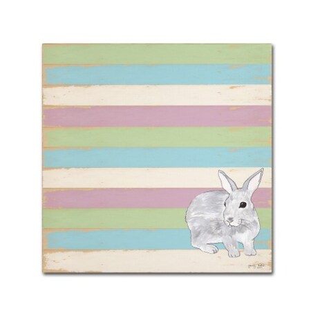 Tammy Kushnir 'Rabbit Grey' Canvas Art,14x14